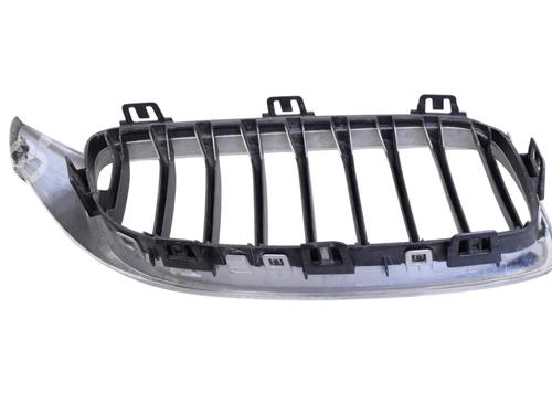 Grill FORD USA MUSTANG Coupe 5.0 302 | BP30256420C40