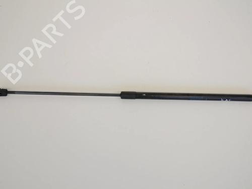 hood-lift-support-renault-megane-iii-grandtour-kz01-2008-2009-2010-2011-2012-2013-2014-2015-2016-30233470 main image