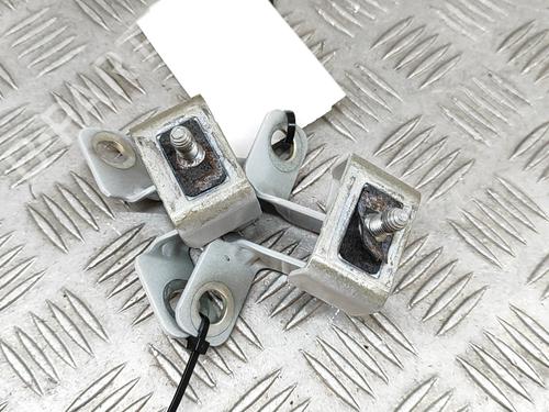 Hinge/Door check strap CITROËN C4 III (BA_, BB_, BC_) 1.2 PureTech 130 (BAHNSA, BAHNSB) | BP28557898C146 