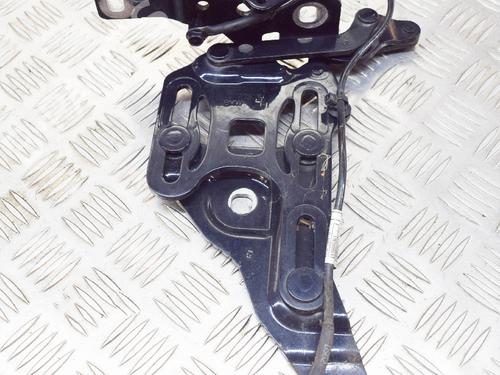 Hinge/Door check strap BMW X5 (E70) xDrive 30 d | BP14618391C146 
