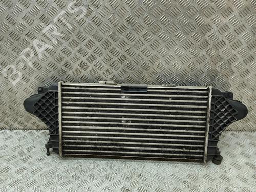 Intercooler MERCEDES-BENZ M-CLASS (W166) ML 350 BlueTEC 4-matic (166.024, 166.023) | BP31217010M30