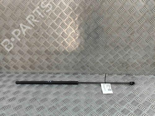 hood-lift-support-audi-a3-sportback-8va-8vf-2012-2013-2014-2015-2016-2017-2018-2019-2020-2021-29404107 main image