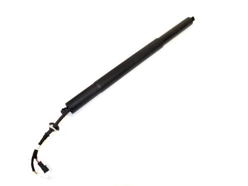 tailgate-lift-support-bmw-x5-g05-f95-2018-33339218 main image