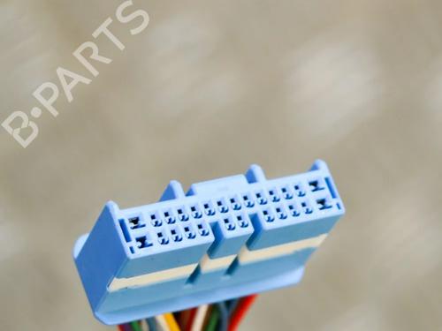 Ledningsnet TESLA MODEL 3 (5YJ3) EV | BP27758334E16 