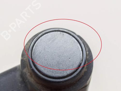 Electronic module LAND ROVER RANGE ROVER SPORT I (L320) 3.0 D 4x4 | BP10186918M83 