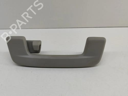 interior-roof-handle-skoda-enyaq-iv-suv-5az-2020-27773459 main image