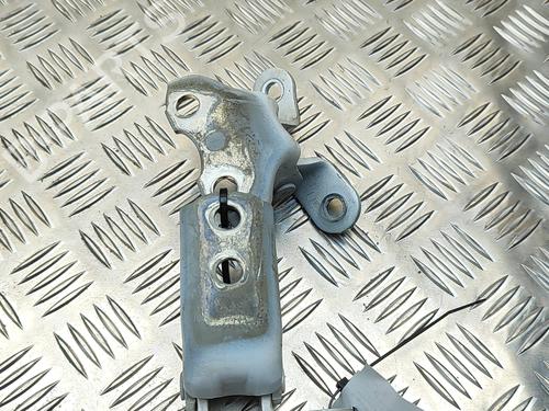 Hinge/Door check strap TOYOTA PRIUS (_W3_) 1.8 Hybrid (ZVW30) | BP28956205C146 