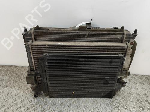 Kølerpakke JAGUAR XJ (X350, X358) D 2.7 | BP31021193M120