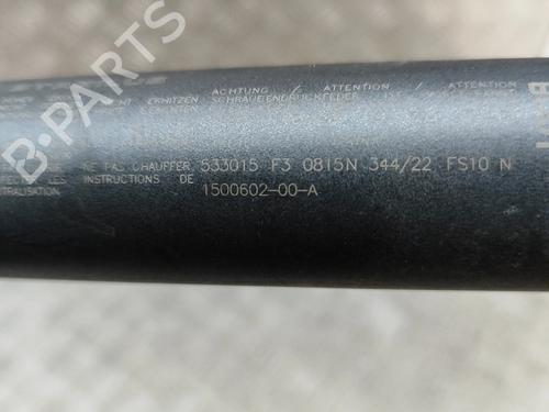 Tailgate lift support TESLA MODEL Y (5YJY) EV Performance All-wheel Drive | BP31314661C138