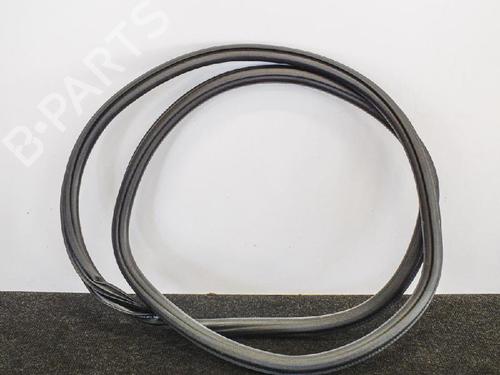 Used Rubber door seal AUDI A4 B9 (8W2, 8WC) 2.0 TFSI quattro (252 hp) 14666578