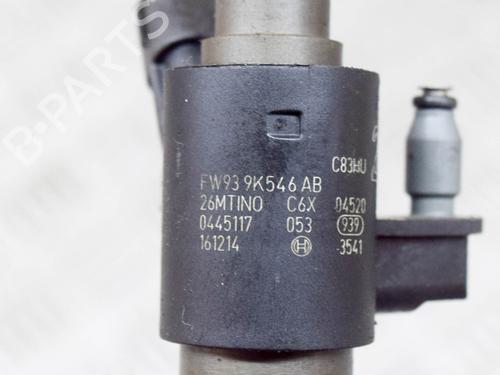 Injector LAND ROVER RANGE ROVER SPORT II (L494) 3.0 SDV6 4x4 | BP27756965M100