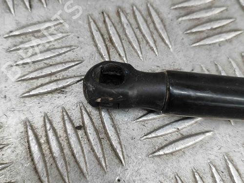 Hood lift support BMW 3 (F30, F80) M3 | BP27799915C139