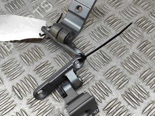 Hinge/Door check strap BMW 5 (F10) 535 d | BP24142955C146 