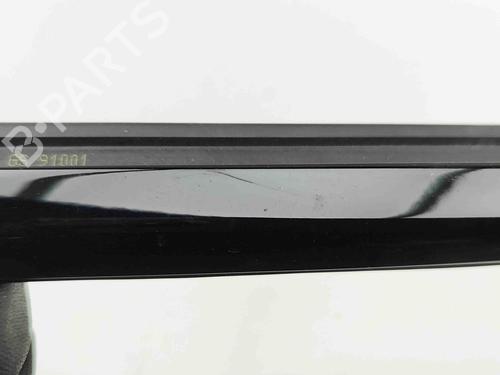 Door moulding trim BMW 5 (G30, F90) 530 e Plug-in-Hybrid xDrive | BP29488313C150 