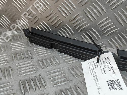 Door moulding trim MERCEDES-BENZ GLS (X167) AMG 63 4Matic+ EQ Boost 4-matic+ (167.989) | BP28556773C150 