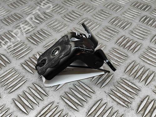 Hinge/Door check strap NISSAN JUKE (F16_) DIG-T 117 | BP27774831C146