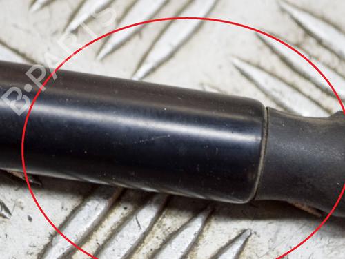 Hood lift support LAND ROVER RANGE ROVER EVOQUE (L538) 2.0 D 4x4 | BP14637191C139 