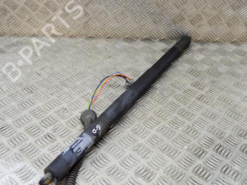 Tailgate lift support TESLA MODEL S (5YJS) 85 | BP14646872C138 