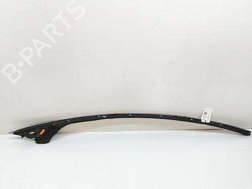 Door moulding trim TESLA MODEL X (5YJX) P100D AWD | BP25217872C150 