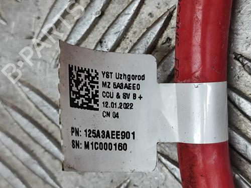 Cable BMW iX (I20) xDrive 50 | BP28556559E12 