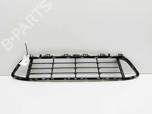 Grille BMW X1 (F48) sDrive 18 d | BP29730904C40 