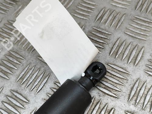 Tailgate lift support TESLA MODEL Y (5YJY) EV Rear-Wheel Drive | BP31314670C138 