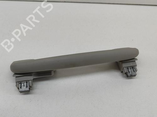 Interior roof handle SKODA ENYAQ iV SUV (5AZ) 80 | BP28687197I35 