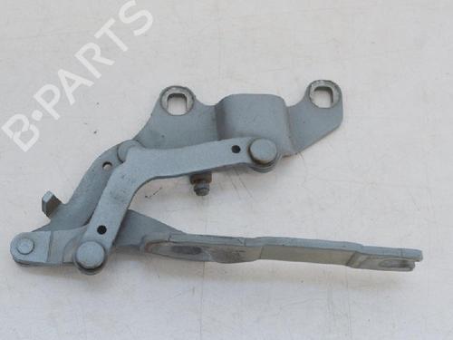 Hinge/Door check strap BMW 3 (E90) 318 i | BP14607743C146 