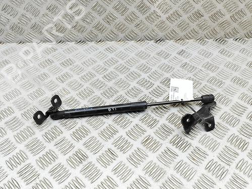 hood-lift-support-tesla-model-3-5yj3-2017-33394503 main image