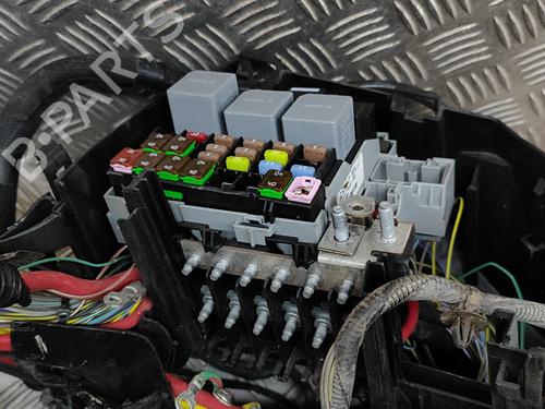 Wiring harness LAND ROVER RANGE ROVER EVOQUE (L538) 2.2 D 4x4 | BP22443894E16 