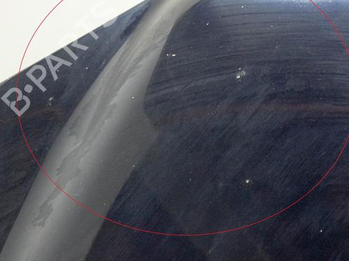 Hood MERCEDES-BENZ S-CLASS (W220) S 400 CDI (220.028, 220.128) | BP9628229C1 