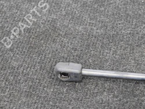 Hood lift support LAND ROVER RANGE ROVER EVOQUE (L538) 2.0 D 4x4 | BP14667070C139 