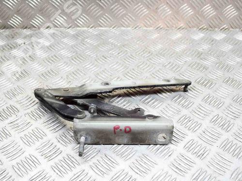 Used Hinge/Door check strap LAND ROVER DISCOVERY III (L319) 2.7 TD 4x4 (190 hp) 14630807