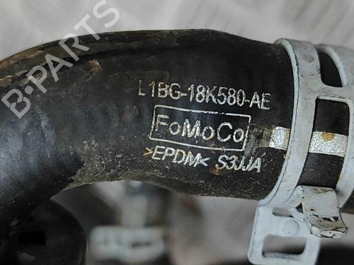 Pipe FORD PUMA (J2K, CF7) 1.0 EcoBoost mHEV | BP27787030M125 - Image 7