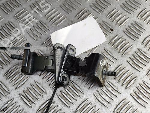 Used Hinge/Door check strap AUDI Q5 (FYB, FYG) 2.0 TFSI quattro (252 hp) 28436582