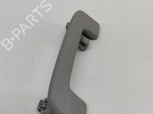 Interior roof handle SKODA ENYAQ iV SUV (5AZ) 80 | BP28687197I35 