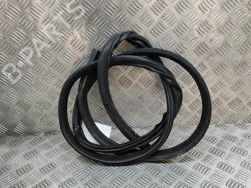 rubber-door-seal-nissan-juke-f16_-2019-27774871 main image