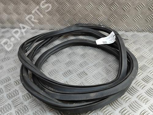 Gummiliste BMW X7 (G07) xDrive M 50 d | BP28562954C142