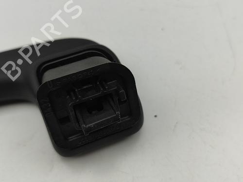 Interior roof handle FORD PUMA (J2K, CF7) 1.0 EcoBoost mHEV | BP29392153I35 
