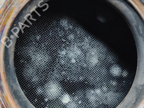 Catalyst BMW 3 Touring (F31) 335 d xDrive | BP25861035M10 