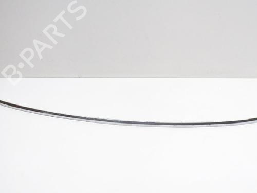 Door moulding trim TESLA MODEL S (5YJS) P85 | BP8835022C150 