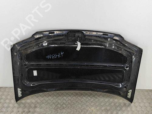 Hood VW CADDY III Box Body/MPV (2KA, 2KH, 2CA, 2CH) 2.0 SDI | BP29730646C1 
