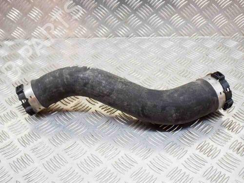 Used Pipe BMW 2 Coupe (F22, F87) 218 i (136 hp) 8837768