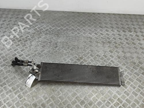 Oil radiator MAN TGE Van 2.0 TDI (01V, 03V, 36V, UYB, UYC, UYD) | BP31976755M33