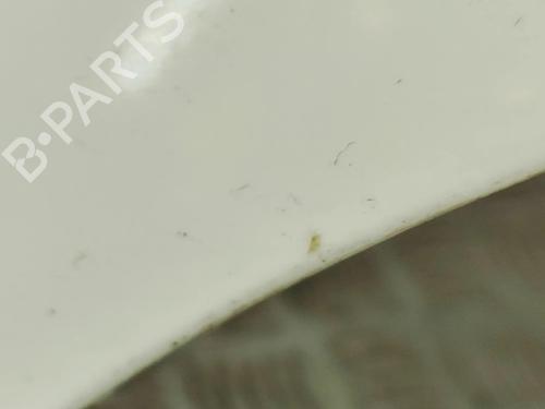 Forskærm venstre NISSAN LEAF (ZE1) Electric | BP30678999C41