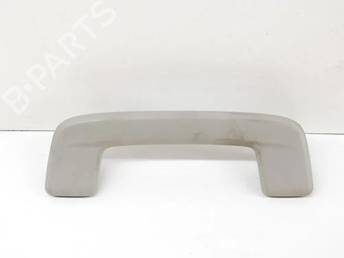 interior-roof-handle-skoda-octavia-iv-nx3-nn3-pv3-2020-27763624 main image