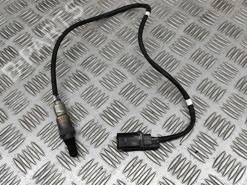 Elektronische sonde VW TRANSPORTER T6 Van (SGA, SGH, SHA, SHH) 2.0 TDI 4motion (150 hp) 23248304