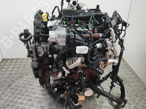 Engine FORD TRANSIT V363 Van (FCD, FDD) 2.0 EcoBlue | BP37642297M1 - Image 4