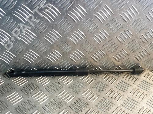 hood-lift-support-tesla-model-3-5yj3-2017-27748832 main image