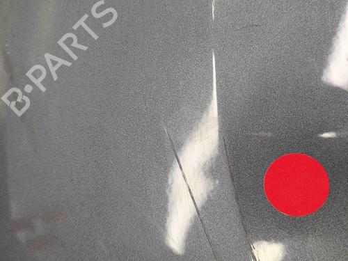 Left front fenders FIAT DOBLO Bus (263_) 1.3 D Multijet (263AXC1A) | BP29890769C41 